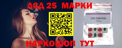 прущие грибы Краснодар