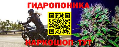 прущие грибы Краснодар