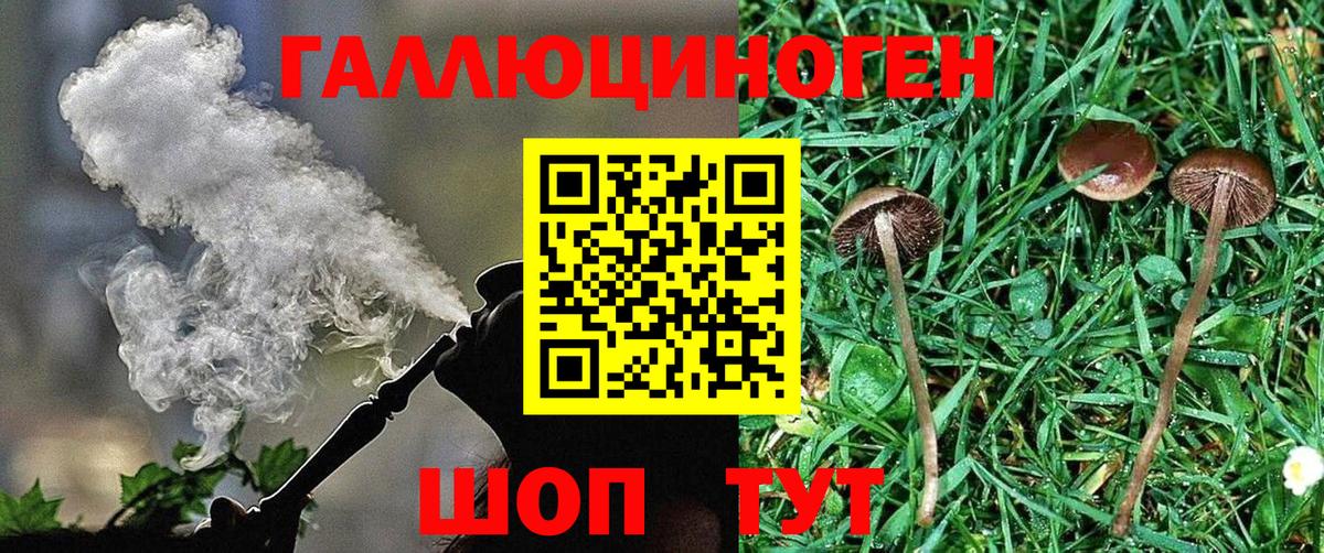 Псилоцибиновые грибы GOLDEN TEACHER Вязники